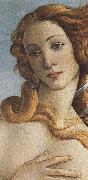 The Birth of Venus (mk36) Sandro Botticelli